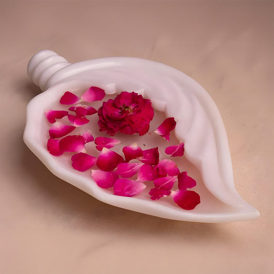 Shell Shaped Urli | Multipurpose White Marble Bowl for Elegant Decor