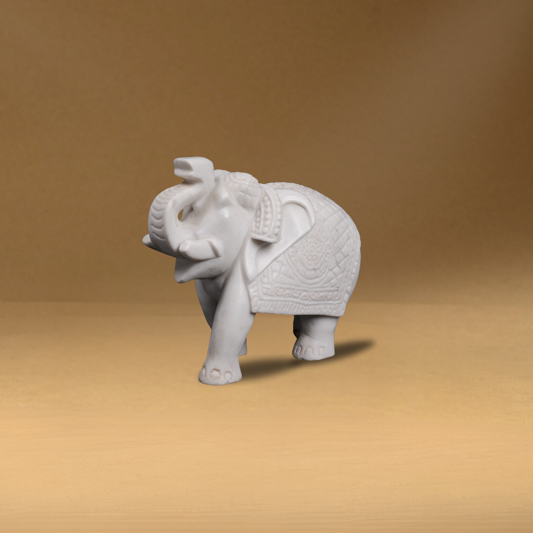 Indian Elephant Without Base